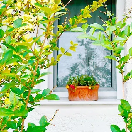 Vakantiehuis Heaven's Door- Maisonette *